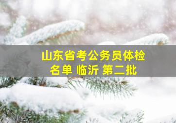 山东省考公务员体检名单 临沂 第二批